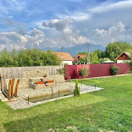 Pensiunea Casa Nina Cîrţişoara Exterior foto