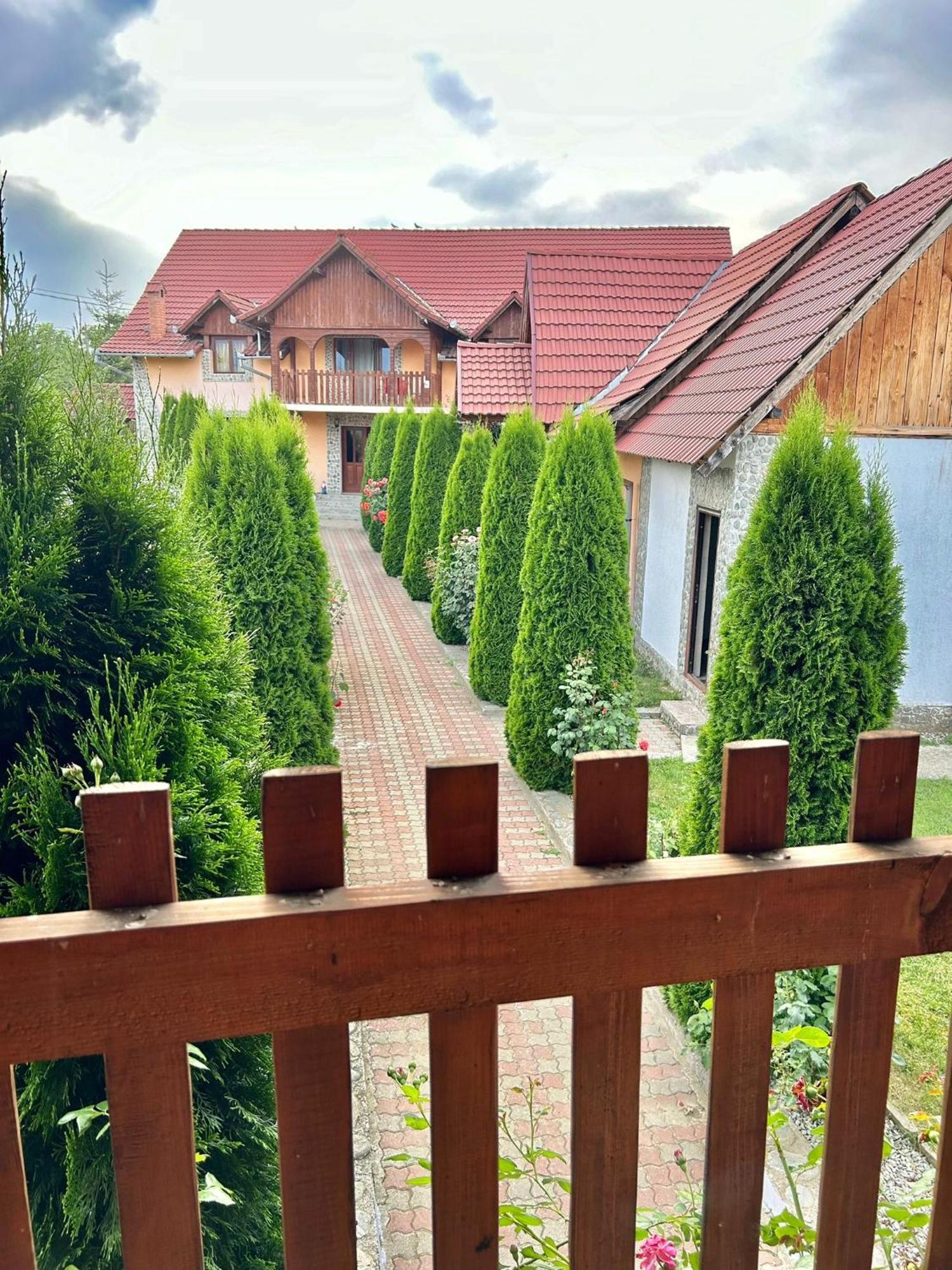Pensiunea Casa Nina Cîrţişoara Exterior foto