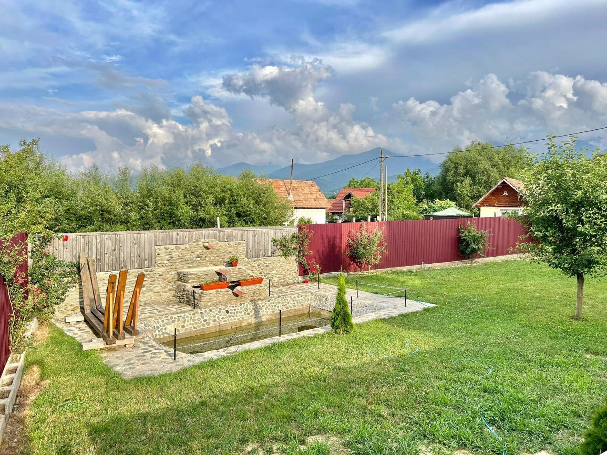 Pensiunea Casa Nina Cîrţişoara Exterior foto