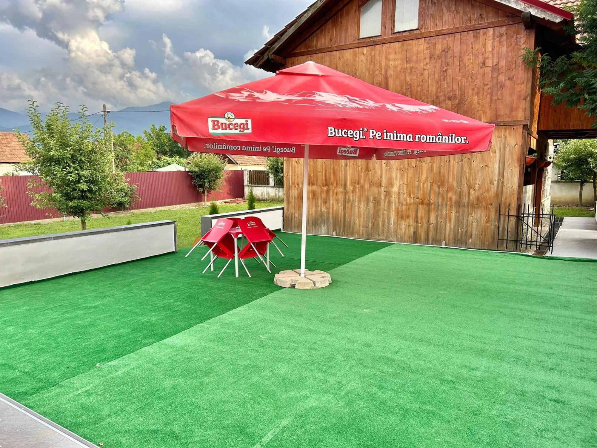 Pensiunea Casa Nina Cîrţişoara Exterior foto