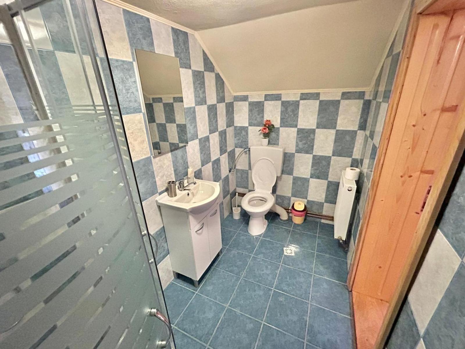 Pensiunea Casa Nina Cîrţişoara Cameră foto