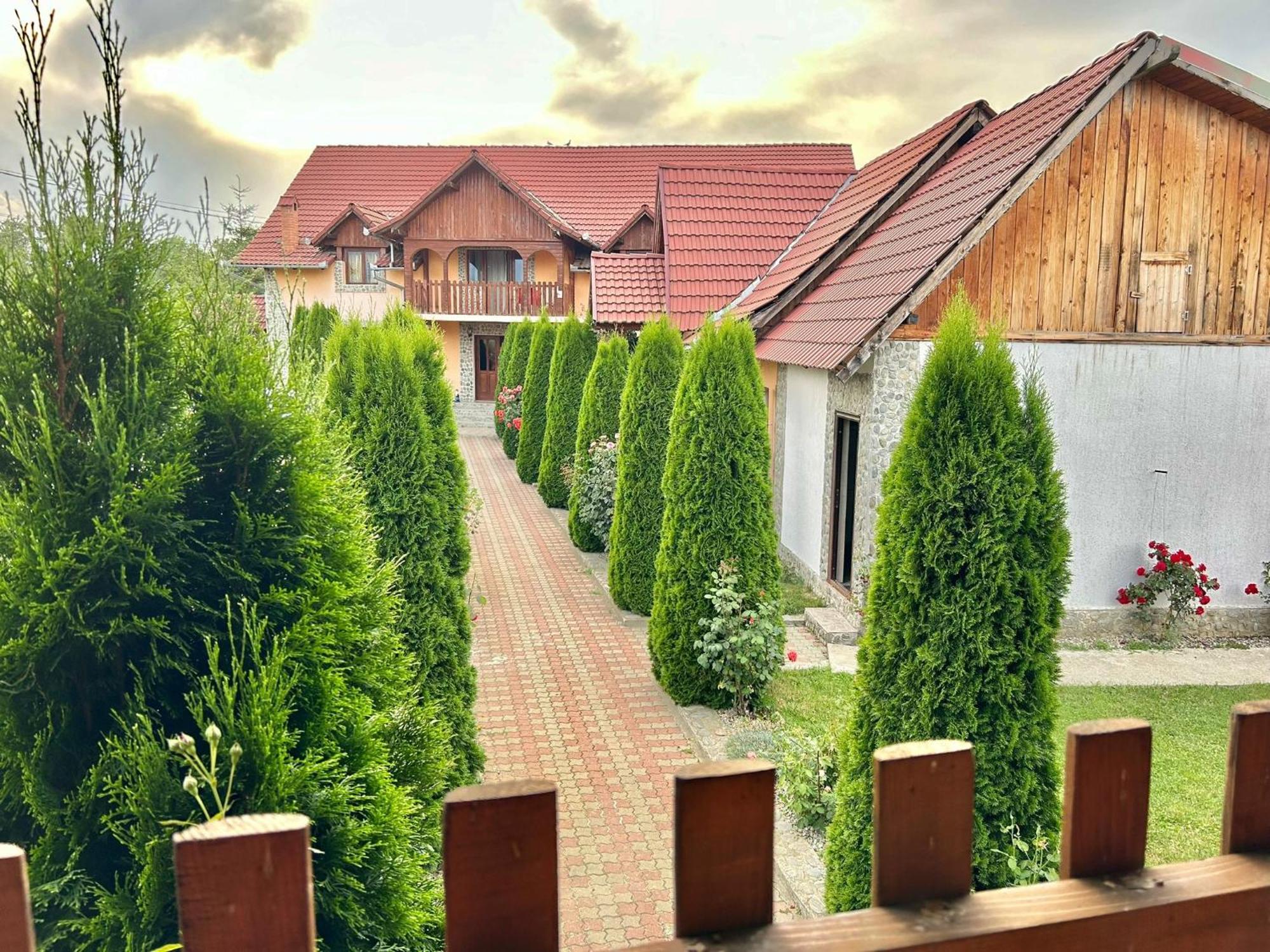 Pensiunea Casa Nina Cîrţişoara Exterior foto