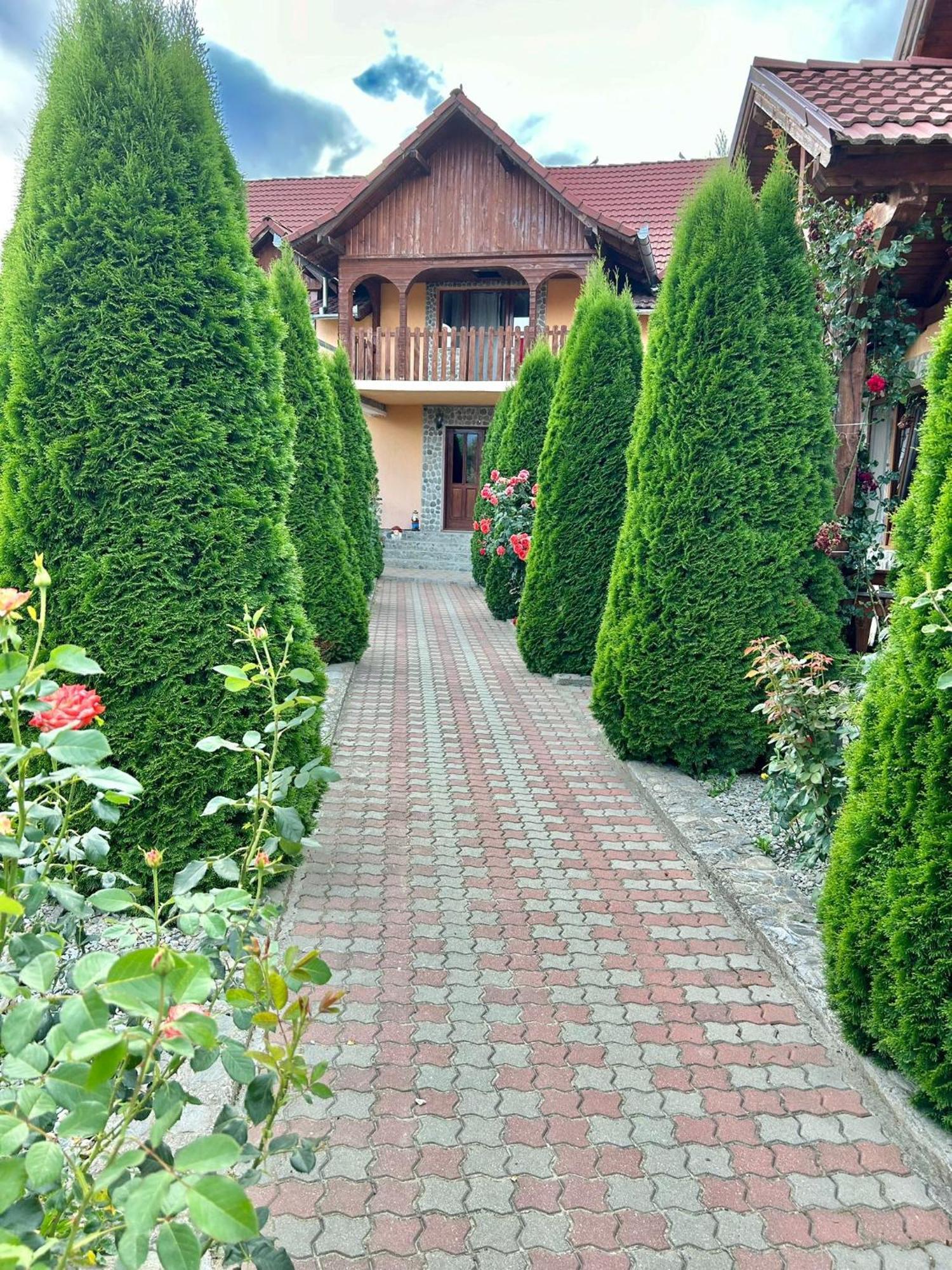 Pensiunea Casa Nina Cîrţişoara Exterior foto